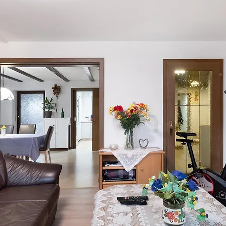 Zum Europapark- Kaiserstuhl Teningen