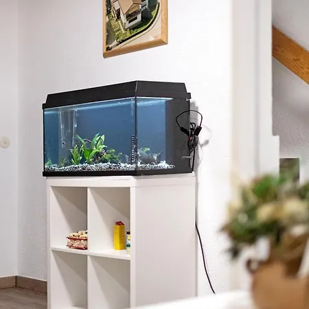 Zum Europapark- Kaiserstuhl アパート