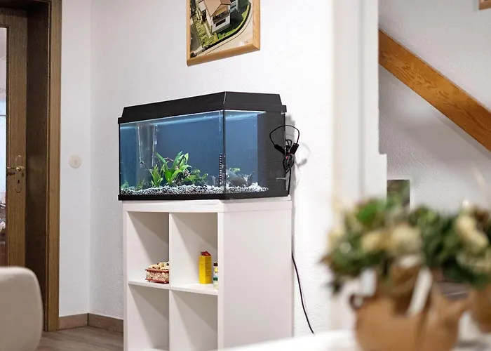 Zum Europapark- Kaiserstuhl Apartman